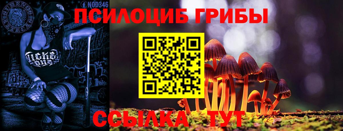 Псилоцибиновые грибы MAGIC MUSHROOMS Котлас